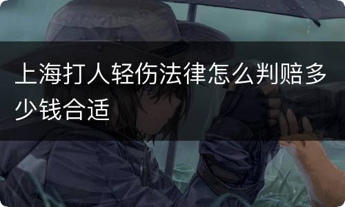 上海打人轻伤法律怎么判赔多少钱合适