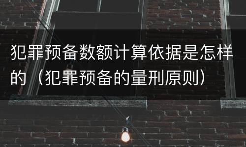 犯罪预备数额计算依据是怎样的（犯罪预备的量刑原则）