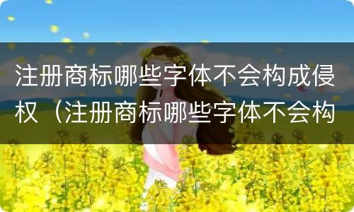 注册商标哪些字体不会构成侵权（注册商标哪些字体不会构成侵权罪）