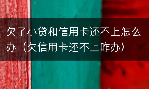 欠了小贷和信用卡还不上怎么办（欠信用卡还不上咋办）