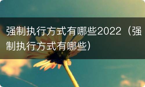 强制执行方式有哪些2022（强制执行方式有哪些）