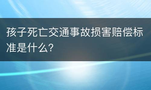 孩子死亡交通事故损害赔偿标准是什么？