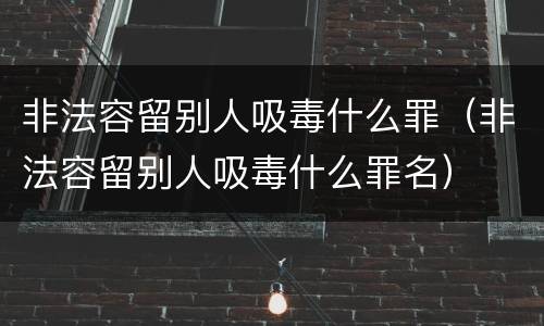 非法容留别人吸毒什么罪（非法容留别人吸毒什么罪名）