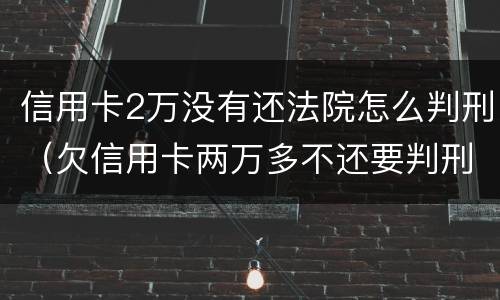 信用卡2万没有还法院怎么判刑（欠信用卡两万多不还要判刑多久）