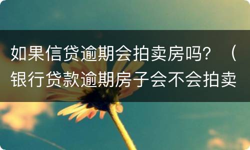 如果信贷逾期会拍卖房吗？（银行贷款逾期房子会不会拍卖）