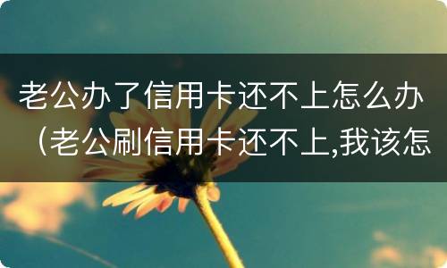 老公办了信用卡还不上怎么办（老公刷信用卡还不上,我该怎么办）