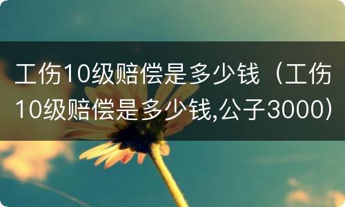 工伤10级赔偿是多少钱（工伤10级赔偿是多少钱,公子3000）