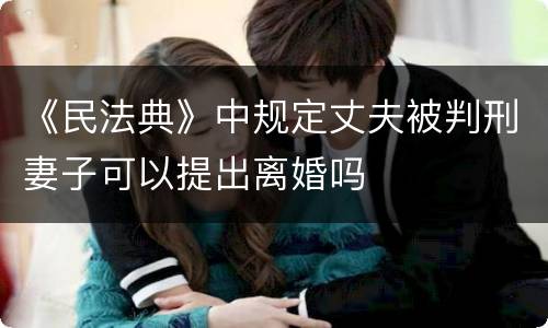 《民法典》中规定丈夫被判刑妻子可以提出离婚吗