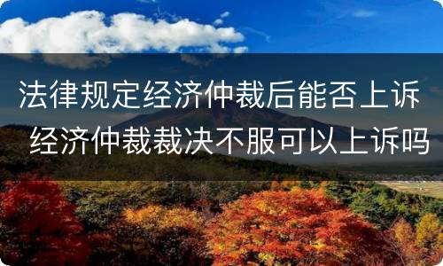 法律规定经济仲裁后能否上诉 经济仲裁裁决不服可以上诉吗