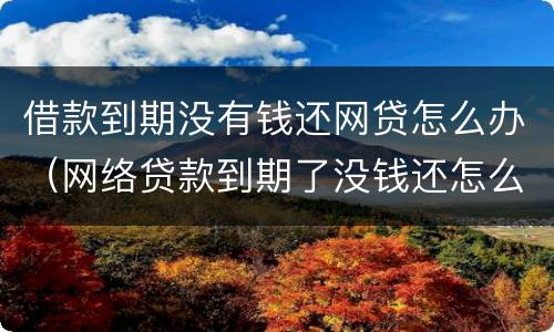 借款到期没有钱还网贷怎么办（网络贷款到期了没钱还怎么办）