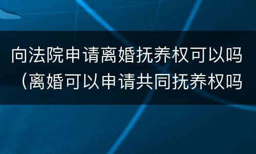 向法院申请离婚抚养权可以吗（离婚可以申请共同抚养权吗）