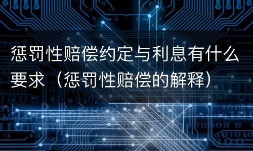 惩罚性赔偿约定与利息有什么要求（惩罚性赔偿的解释）