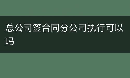 总公司签合同分公司执行可以吗
