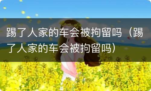 踢了人家的车会被拘留吗（踢了人家的车会被拘留吗）