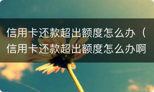 信用卡还款超出额度怎么办（信用卡还款超出额度怎么办啊）