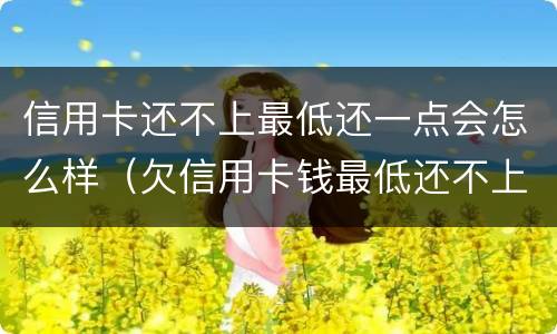 信用卡还不上最低还一点会怎么样（欠信用卡钱最低还不上,还一点可以吗）