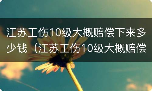 江苏工伤10级大概赔偿下来多少钱（江苏工伤10级大概赔偿下来多少钱啊）
