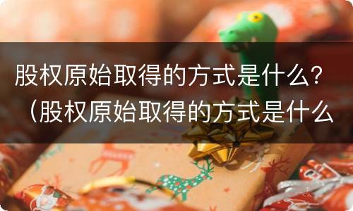 股权原始取得的方式是什么？（股权原始取得的方式是什么样的）