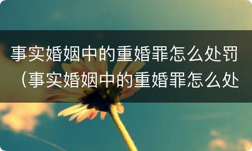 事实婚姻中的重婚罪怎么处罚（事实婚姻中的重婚罪怎么处罚呢）