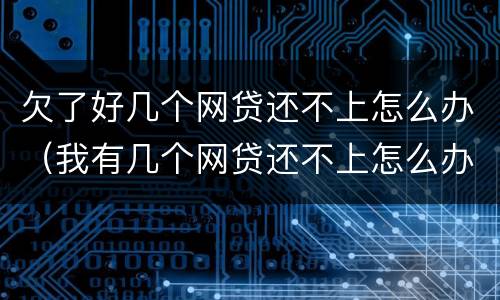 欠了好几个网贷还不上怎么办（我有几个网贷还不上怎么办）