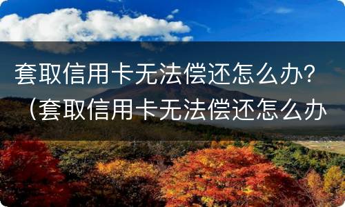 套取信用卡无法偿还怎么办？（套取信用卡无法偿还怎么办理）