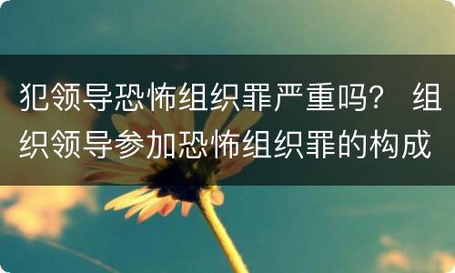 犯领导恐怖组织罪严重吗？ 组织领导参加恐怖组织罪的构成要件