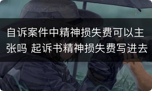 自诉案件中精神损失费可以主张吗 起诉书精神损失费写进去算到诉讼金额里吗
