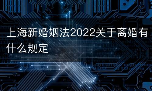 上海新婚姻法2022关于离婚有什么规定