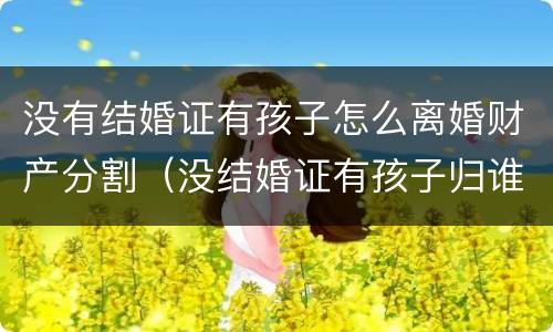 没有结婚证有孩子怎么离婚财产分割（没结婚证有孩子归谁）