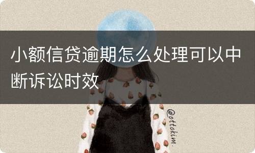 小额信贷逾期怎么处理可以中断诉讼时效