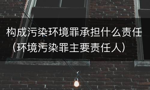 构成污染环境罪承担什么责任（环境污染罪主要责任人）