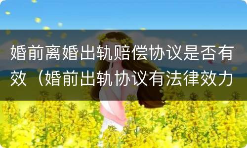 婚前离婚出轨赔偿协议是否有效（婚前出轨协议有法律效力吗）