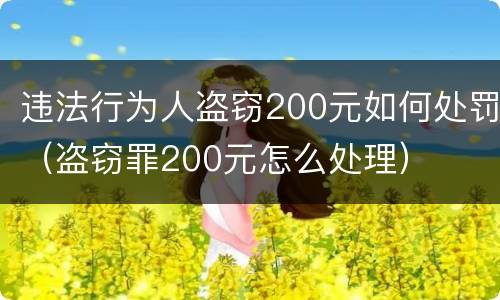 违法行为人盗窃200元如何处罚（盗窃罪200元怎么处理）