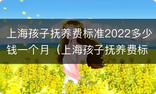 上海孩子抚养费标准2022多少钱一个月（上海孩子抚养费标准2021）