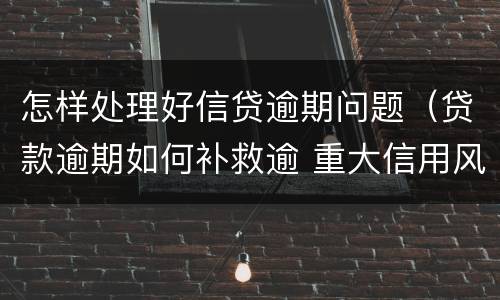 怎样处理好信贷逾期问题（贷款逾期如何补救逾 重大信用风险）