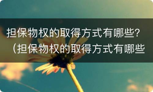 担保物权的取得方式有哪些？（担保物权的取得方式有哪些呢）