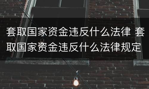 套取国家资金违反什么法律 套取国家资金违反什么法律规定