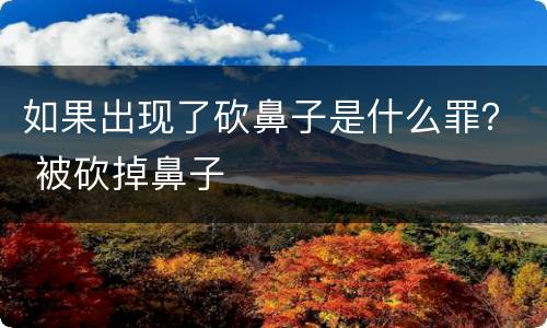 如果出现了砍鼻子是什么罪？ 被砍掉鼻子