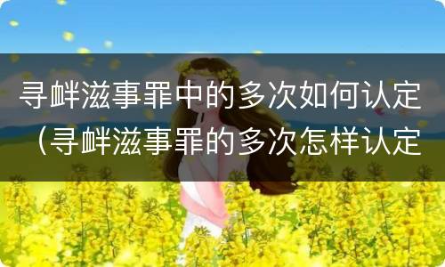 寻衅滋事罪中的多次如何认定（寻衅滋事罪的多次怎样认定）