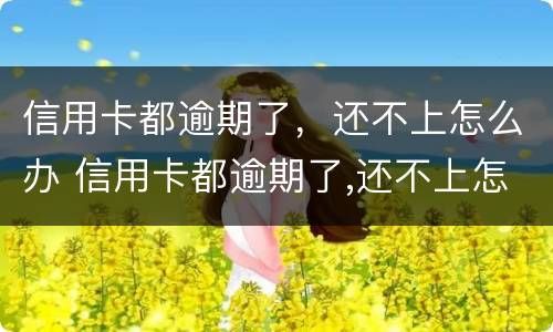 信用卡都逾期了，还不上怎么办 信用卡都逾期了,还不上怎么办呢