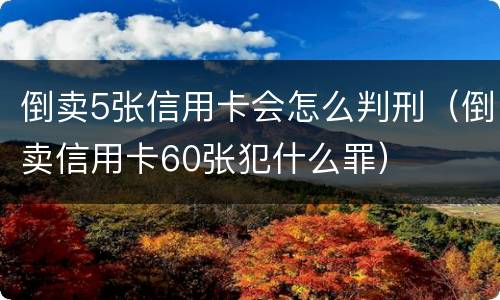 倒卖5张信用卡会怎么判刑（倒卖信用卡60张犯什么罪）