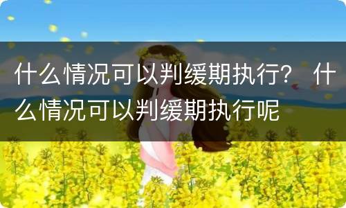 什么情况可以判缓期执行？ 什么情况可以判缓期执行呢