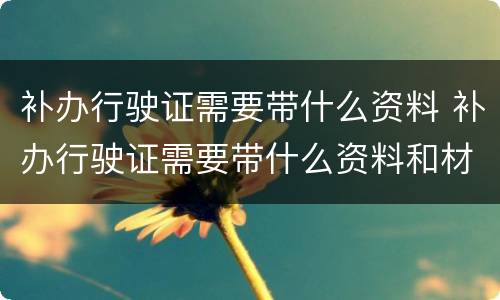 补办行驶证需要带什么资料 补办行驶证需要带什么资料和材料