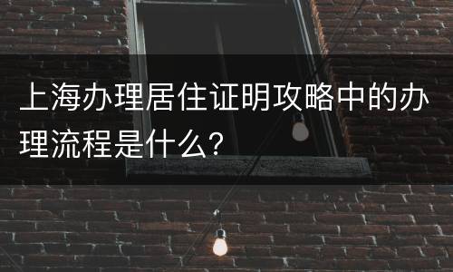上海办理居住证明攻略中的办理流程是什么？