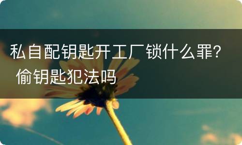 私自配钥匙开工厂锁什么罪？ 偷钥匙犯法吗