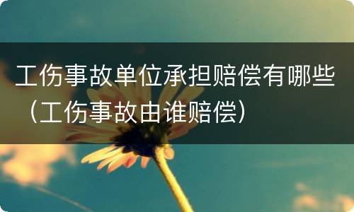 工伤事故单位承担赔偿有哪些（工伤事故由谁赔偿）