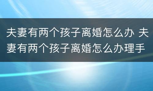 夫妻有两个孩子离婚怎么办 夫妻有两个孩子离婚怎么办理手续