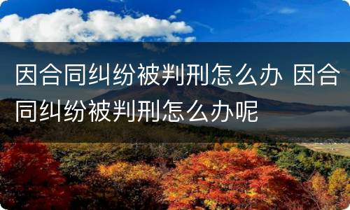 因合同纠纷被判刑怎么办 因合同纠纷被判刑怎么办呢