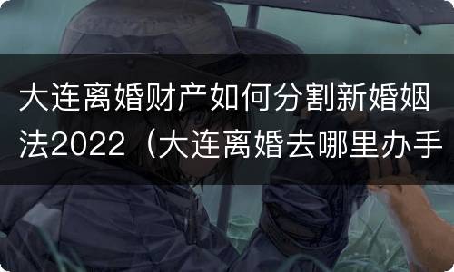大连离婚财产如何分割新婚姻法2022（大连离婚去哪里办手续）