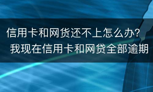 信用卡和网货还不上怎么办？ 我现在信用卡和网贷全部逾期还不起了怎么办